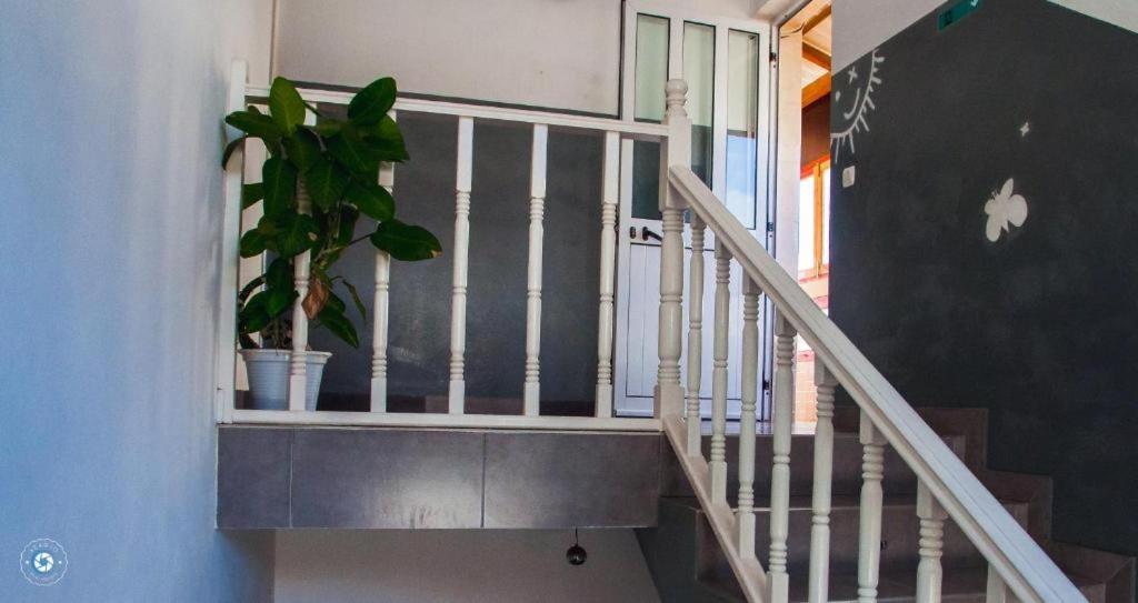Kolina D'Sol Bed & Breakfast Ponta Do Sol Ngoại thất bức ảnh